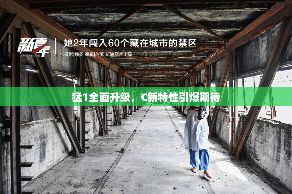 猛1全面升级，C新特性引爆期待
