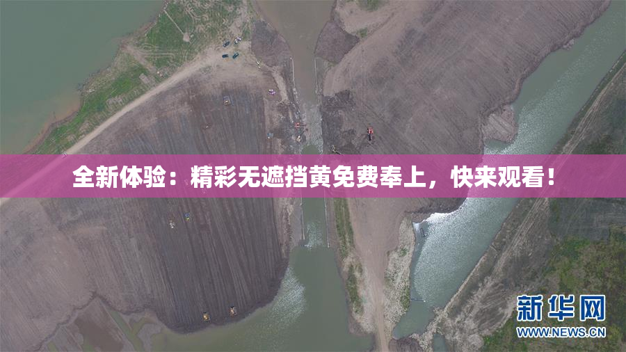 全新体验：精彩无遮挡黄免费奉上，快来观看！