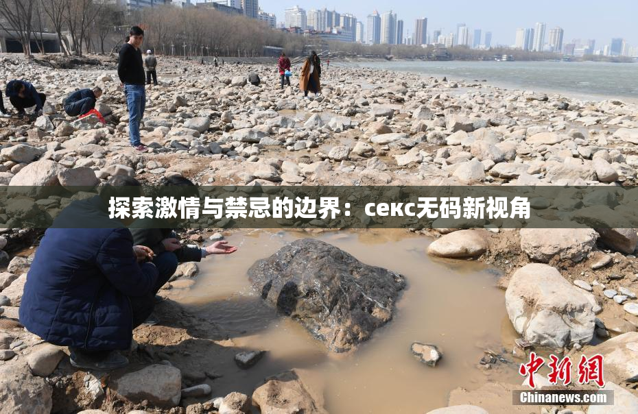 探索激情与禁忌的边界：секс无码新视角
