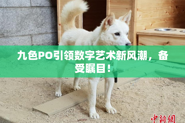 九色PO引领数字艺术新风潮，备受瞩目！