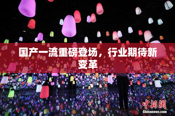 国产一流重磅登场，行业期待新变革