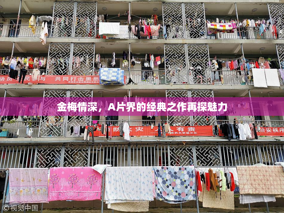 金梅情深，A片界的经典之作再探魅力
