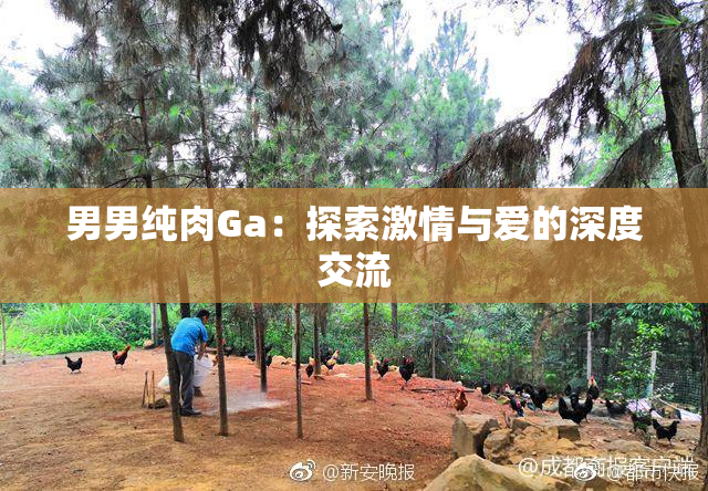 男男纯肉Ga：探索激情与爱的深度交流