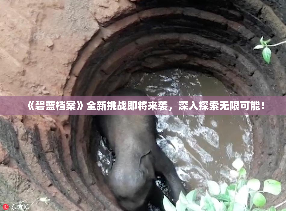 《碧蓝档案》全新挑战即将来袭，深入探索无限可能！