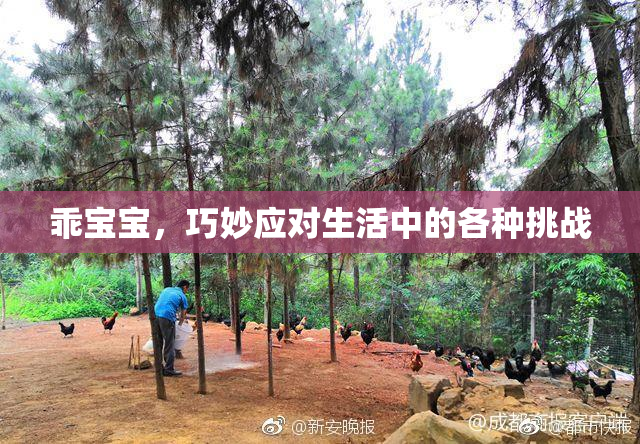 乖宝宝，巧妙应对生活中的各种挑战