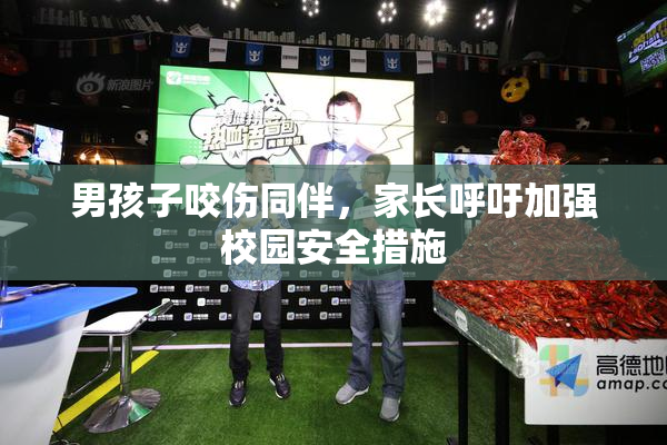 男孩子咬伤同伴，家长呼吁加强校园安全措施