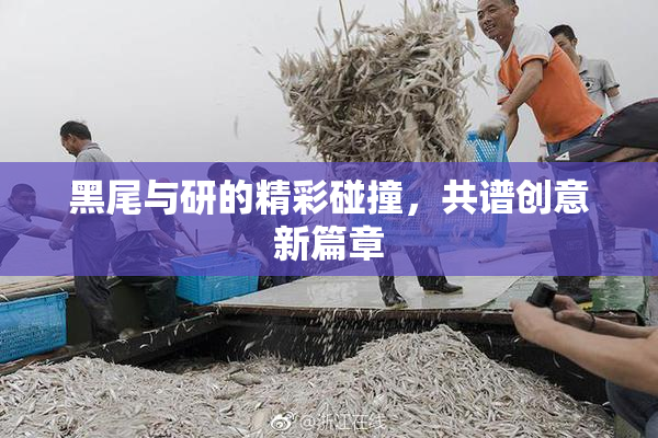 黑尾与研的精彩碰撞，共谱创意新篇章