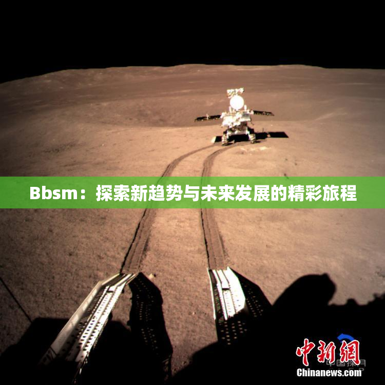 Bbsm：探索新趋势与未来发展的精彩旅程