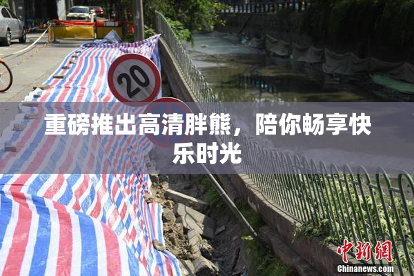 重磅推出高清胖熊，陪你畅享快乐时光