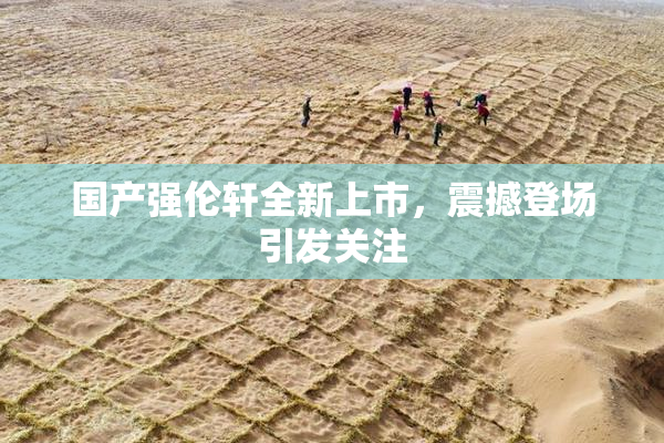 国产强伦轩全新上市，震撼登场引发关注