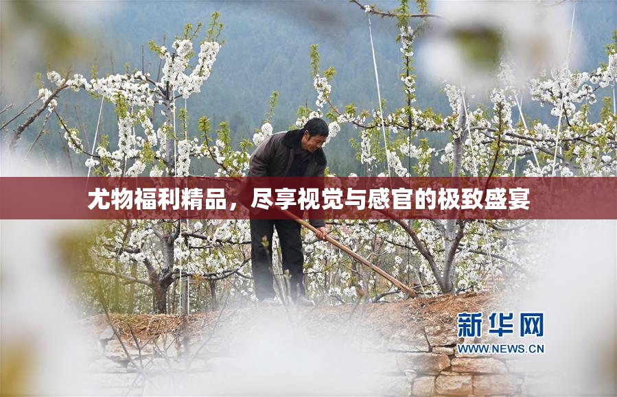 尤物福利精品，尽享视觉与感官的极致盛宴