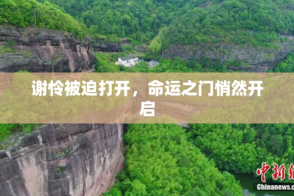 谢怜被迫打开，命运之门悄然开启