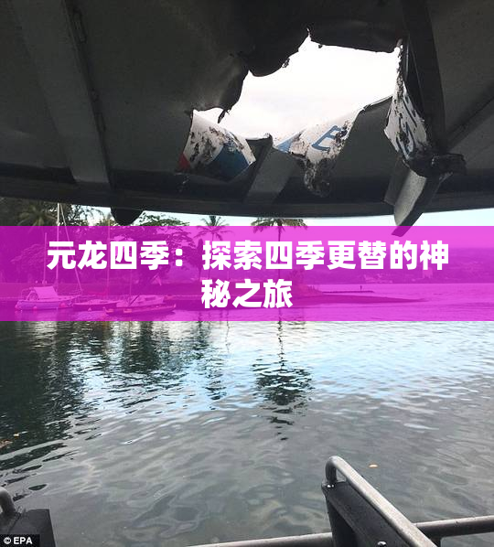 元龙四季：探索四季更替的神秘之旅