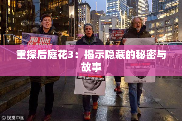 重探后庭花3：揭示隐藏的秘密与故事