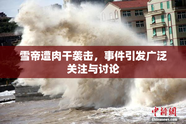 雪帝遭肉干袭击，事件引发广泛关注与讨论