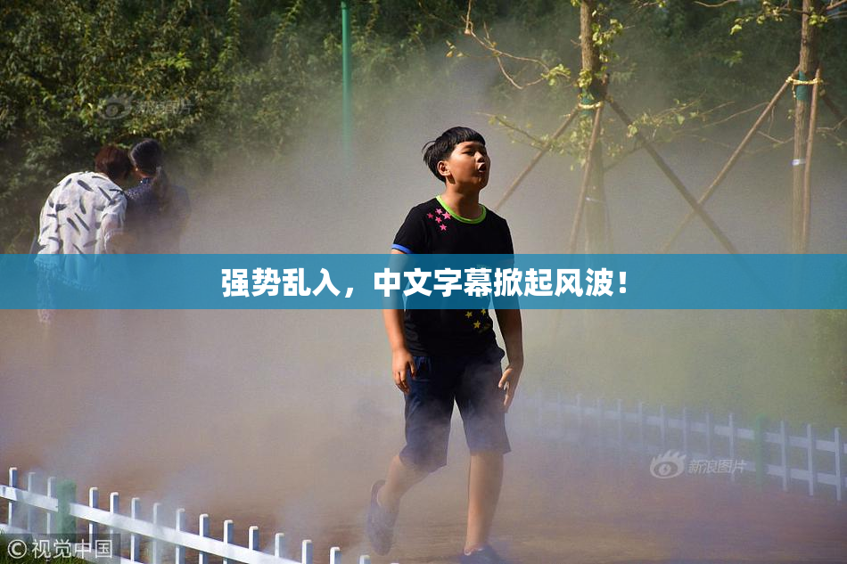 强势乱入，中文字幕掀起风波！