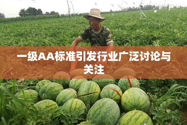 一级AA标准引发行业广泛讨论与关注