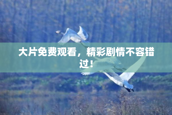 大片免费观看，精彩剧情不容错过！