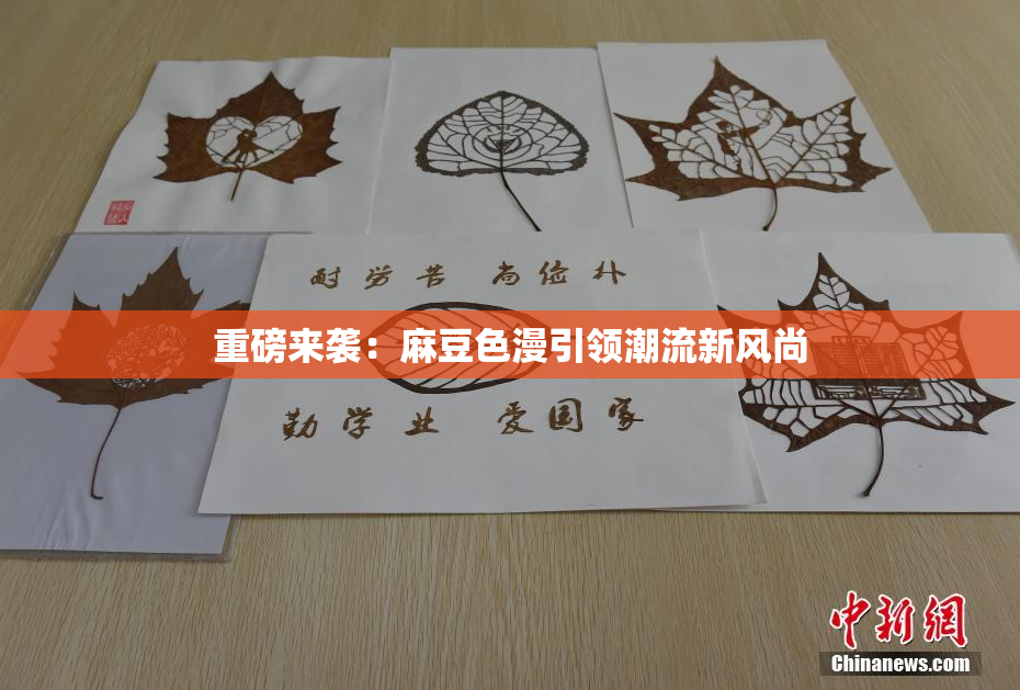 重磅来袭：麻豆色漫引领潮流新风尚