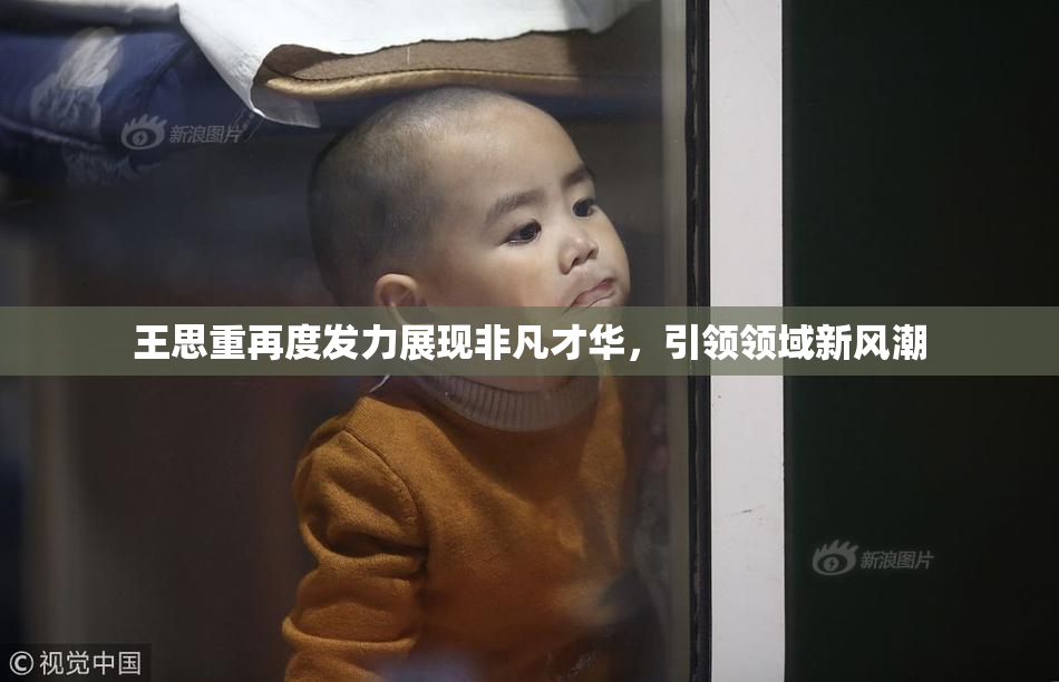 王思重再度发力展现非凡才华，引领领域新风潮