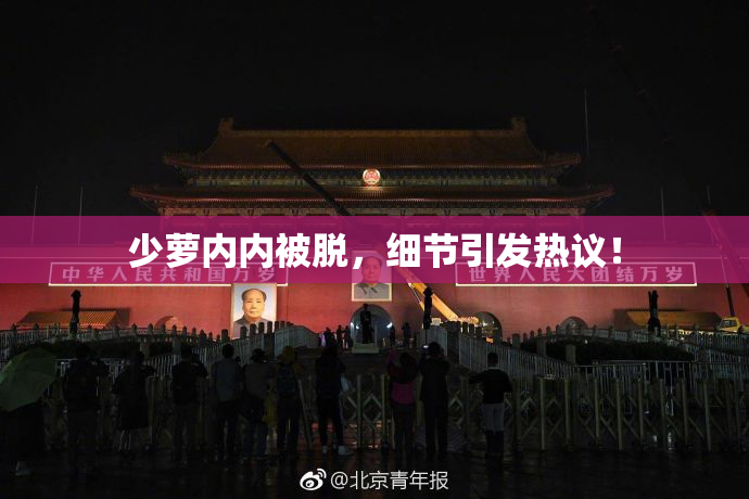 少萝内内被脱，细节引发热议！