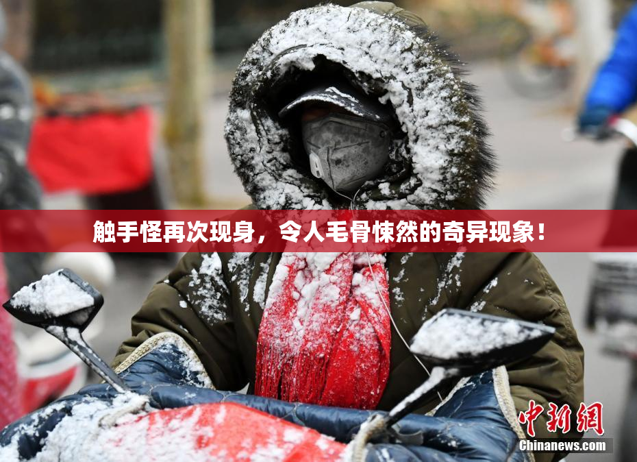 触手怪再次现身，令人毛骨悚然的奇异现象！