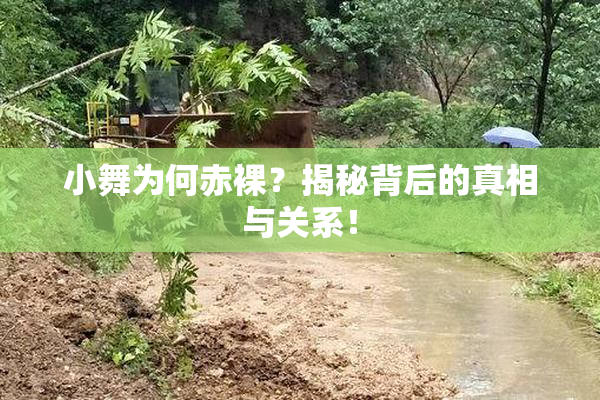 小舞为何赤裸？揭秘背后的真相与关系！