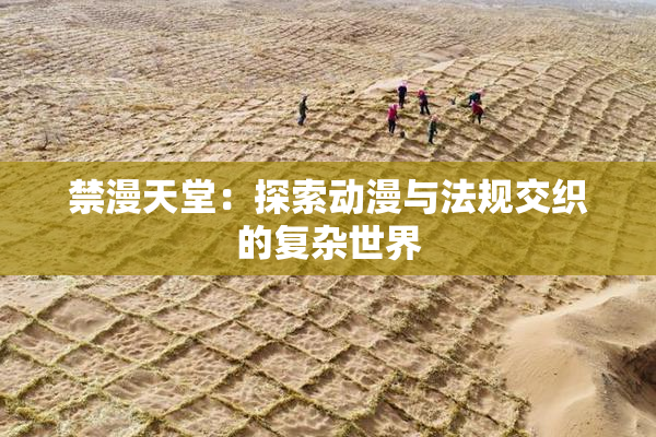 禁漫天堂：探索动漫与法规交织的复杂世界