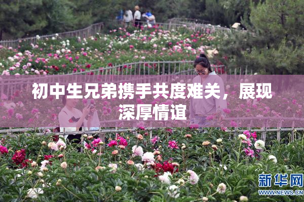 初中生兄弟携手共度难关，展现深厚情谊