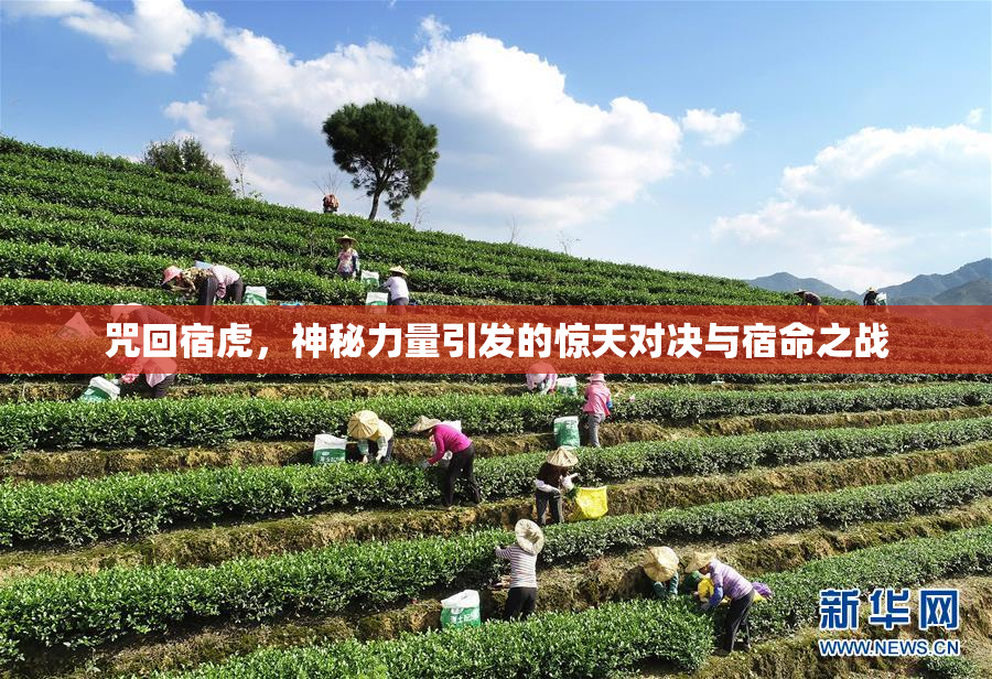 咒回宿虎，神秘力量引发的惊天对决与宿命之战