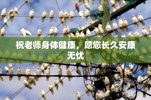 祝老师身体健康，愿您长久安康无忧