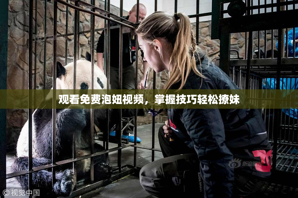 观看免费泡妞视频，掌握技巧轻松撩妹