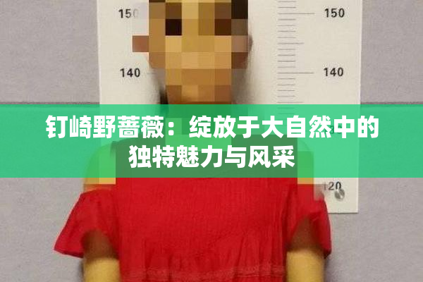 钉崎野蔷薇：绽放于大自然中的独特魅力与风采