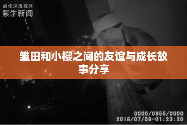 雏田和小樱之间的友谊与成长故事分享