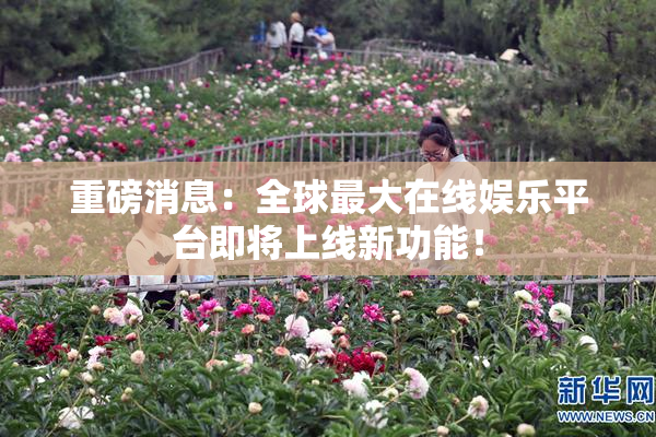 重磅消息：全球最大在线娱乐平台即将上线新功能！
