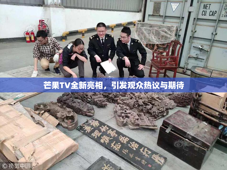 芒果TV全新亮相，引发观众热议与期待