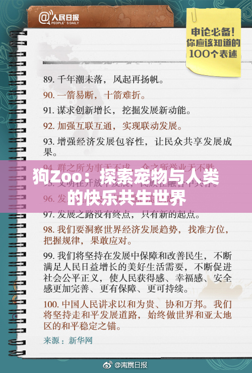 狗Zoo：探索宠物与人类的快乐共生世界