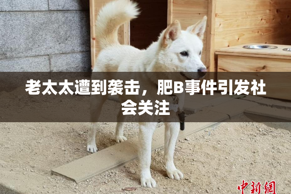 老太太遭到袭击，肥B事件引发社会关注