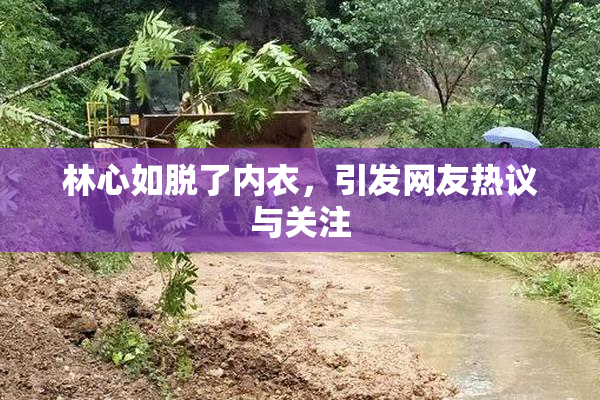 林心如脱了内衣，引发网友热议与关注