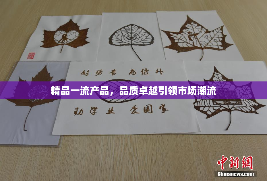 精品一流产品，品质卓越引领市场潮流