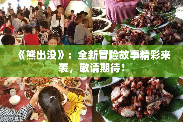《熊出没》：全新冒险故事精彩来袭，敬请期待！