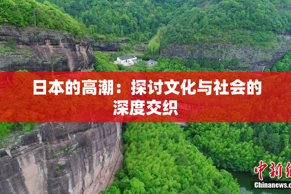 日本的高潮：探讨文化与社会的深度交织