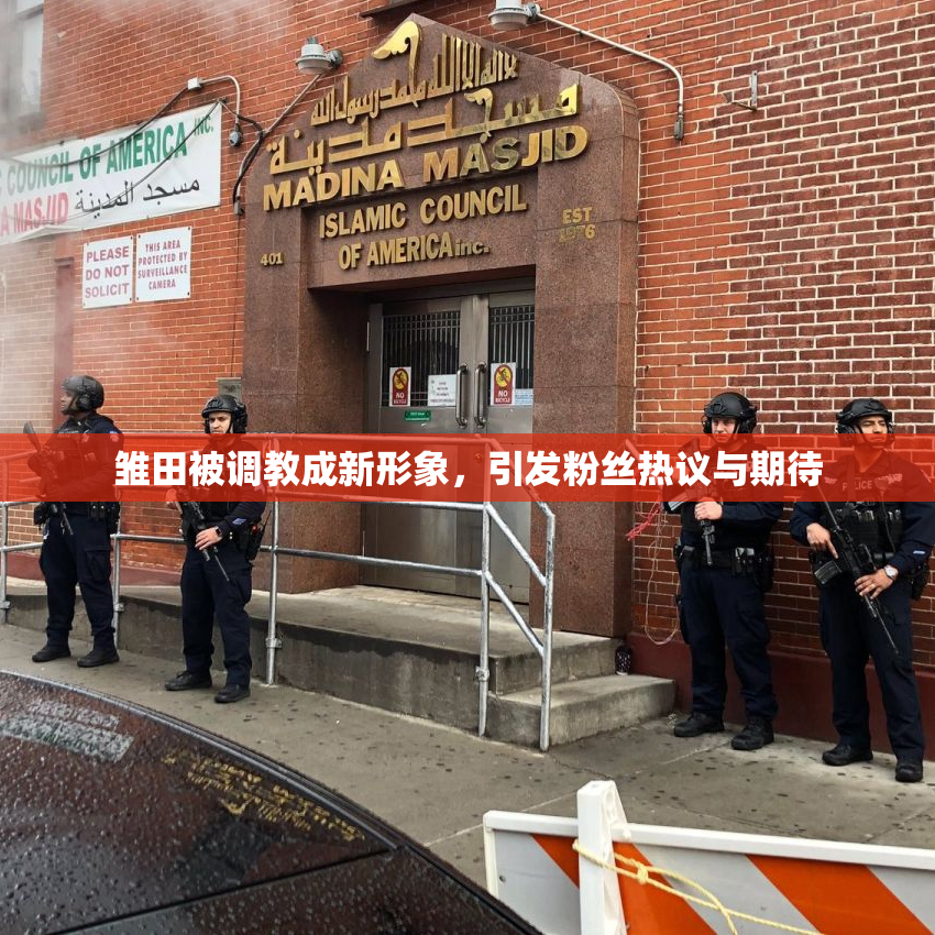 雏田被调教成新形象，引发粉丝热议与期待