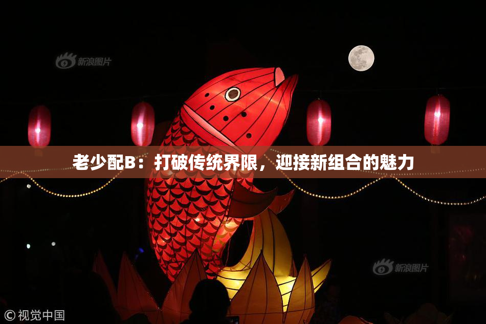 老少配B：打破传统界限，迎接新组合的魅力