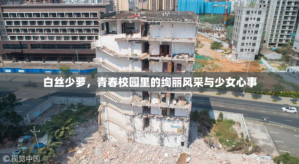 白丝少萝，青春校园里的绚丽风采与少女心事