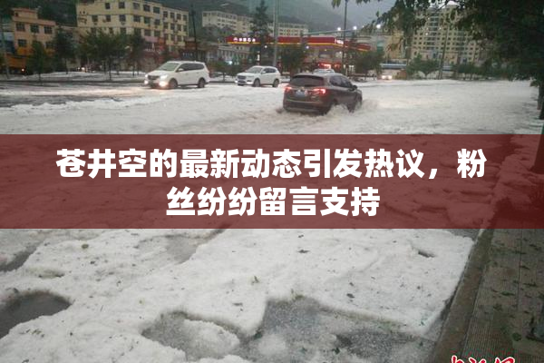 苍井空的最新动态引发热议，粉丝纷纷留言支持