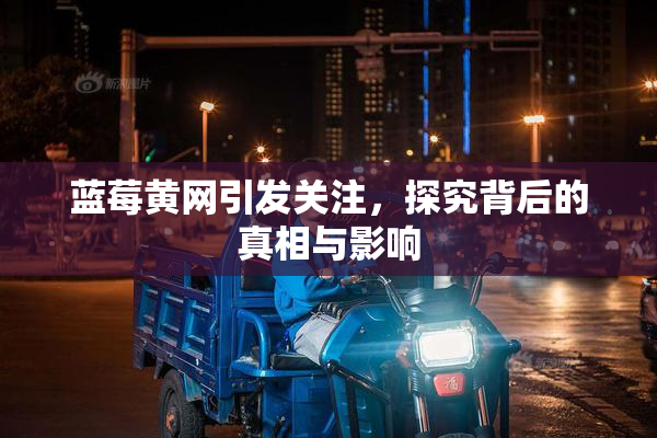 蓝莓黄网引发关注，探究背后的真相与影响