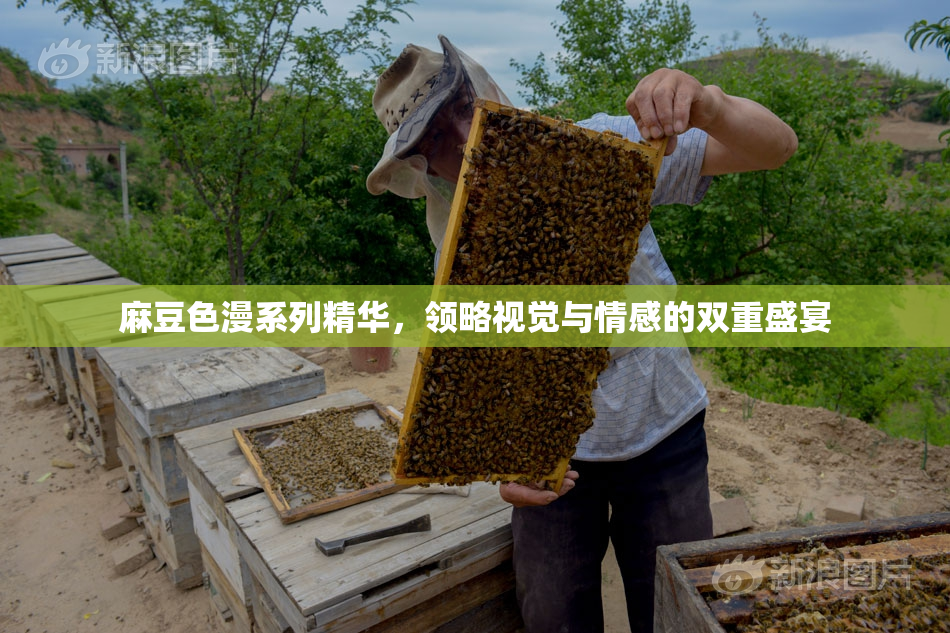 麻豆色漫系列精华，领略视觉与情感的双重盛宴