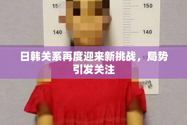 日韩关系再度迎来新挑战，局势引发关注