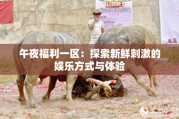 午夜福利一区：探索新鲜刺激的娱乐方式与体验